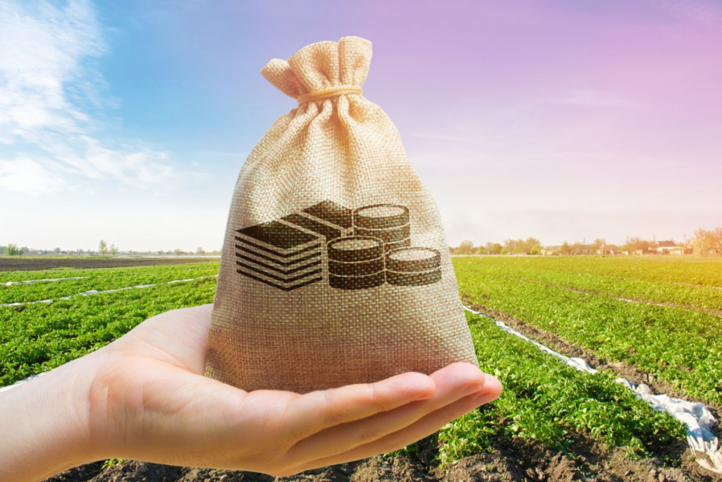 A economia na área agrícola atual e as novas oportunidades do setor